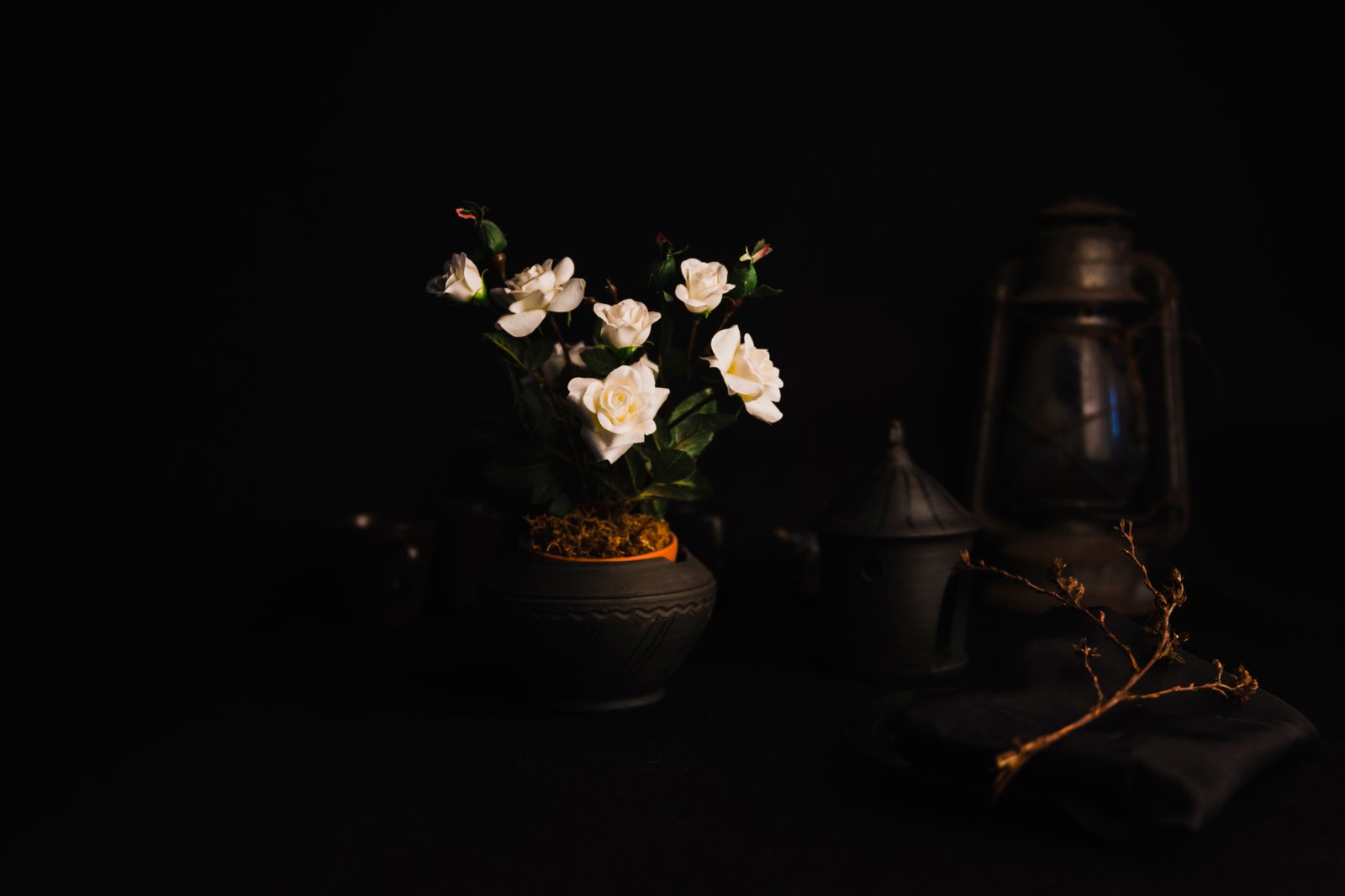 3 bhk property near gkp